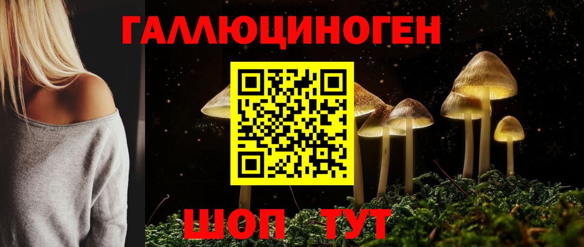 Томск  Псилоцибиновые грибы GOLDEN TEACHER  Вход с VPN 